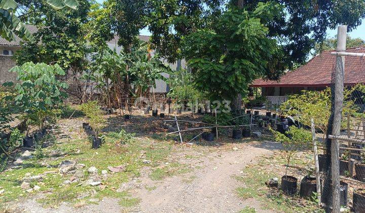 Dijual Tanah di Selogiri, Wonogiri 2