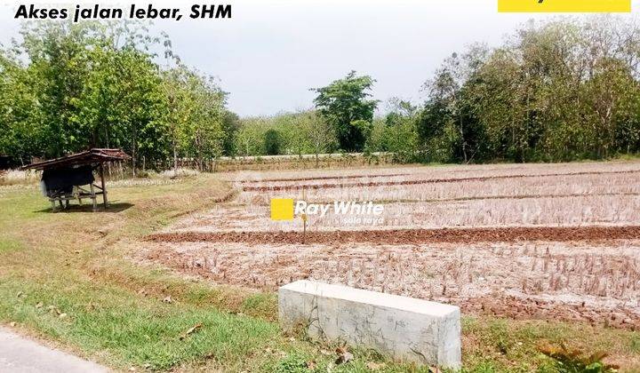 Dijual Tanah di Selogiri, Wonogiri 1