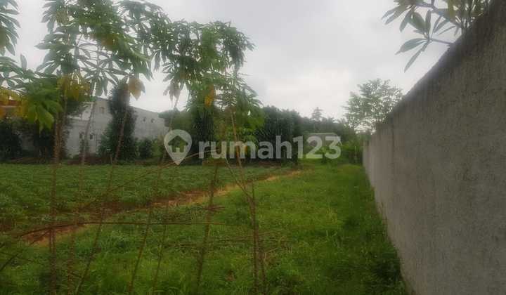 Tanah di Rawakalong Gunung Sindur Tidak Jauh Dari BSD