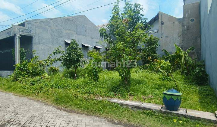 TANAH SEMAMPIR SEMOLOWARU SUKOLILO LOKASI STRATEGIS CUMA 600 meter ke MERR. Hadap Barat. Row Jalan 2 Mobil. Dekat RS Gotong Royong, Sekolah SAIM, MERR Tol, Bandara Juanda 1