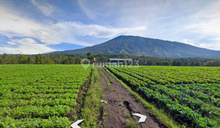OWNER BU!! TANAH di BUKIT JENGKOANG, BATU, MALANG, MURAH!! dengan VIEW GUNUNG DAN PERKEBUNAN. COCOK UNTUK KOMPLEKS VILLA dan RESTO.  2