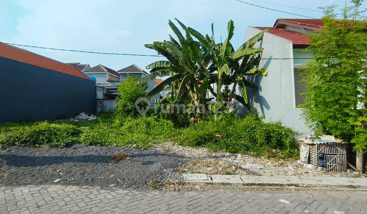 Tanah Wonorejo Selatan Sudah Urug Hadap Selatan Dekat Sd Khodijah. Row Jalan Depan 2 Mobil Sudah Paving. Dekat Merr, Pintu Tol, Bandara Juanda 1