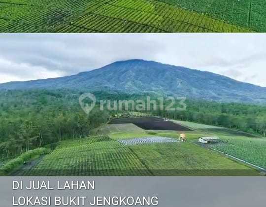 OWNER BU!! TANAH di BUKIT JENGKOANG, BATU, MALANG, MURAH!! dengan VIEW GUNUNG DAN PERKEBUNAN. COCOK UNTUK KOMPLEKS VILLA dan RESTO.  2