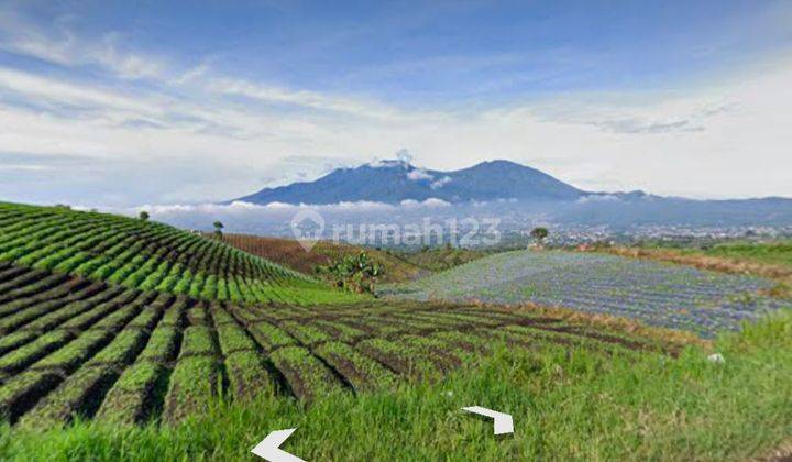 OWNER BU!! TANAH di BUKIT JENGKOANG, BATU, MALANG, MURAH!! dengan VIEW GUNUNG DAN PERKEBUNAN. COCOK UNTUK KOMPLEKS VILLA dan RESTO.  1