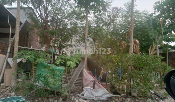 Tanah Sudah Urug Siap Bangun Di Wonorejo Selatan. Hadap Timur. Row Jalan 2 Mobil Sudah Paving. Dekat Merr, Pintu Tol, Bandara Juanda, Rs 1