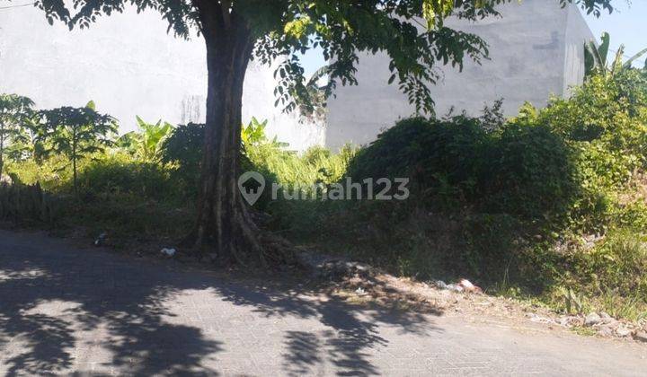 Tanah SHM termurah dekat ITS di Keputih Tegal Surabaya, Luas 167 m, 200 m, bisa pilih ukuran 