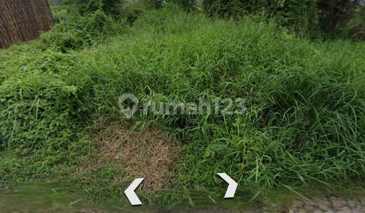 Cheapest Land Near Its, Already Dense Suitable for Building a Boarding House Cheapest Land Near Its, Already Dense Suitable for Building a Boarding House