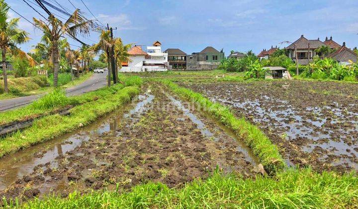 Cheap Land Near Keramas Beach Bali Aetgia101  1