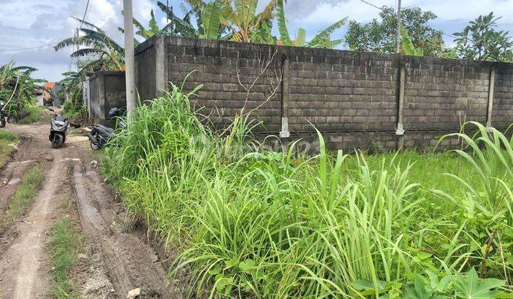 Tanah Murah Sanur Wytsnr12  6