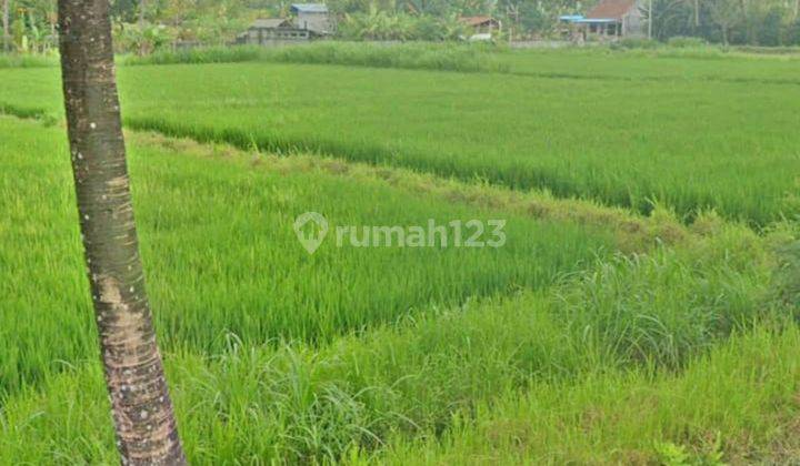 Cheap Land in Permata Pering Gianyar Aetgia52  2