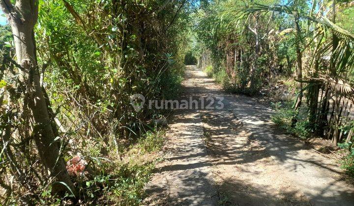 Tanah Dekat Pantai Sumeberkima Buleleng Bali Tsgr24 2