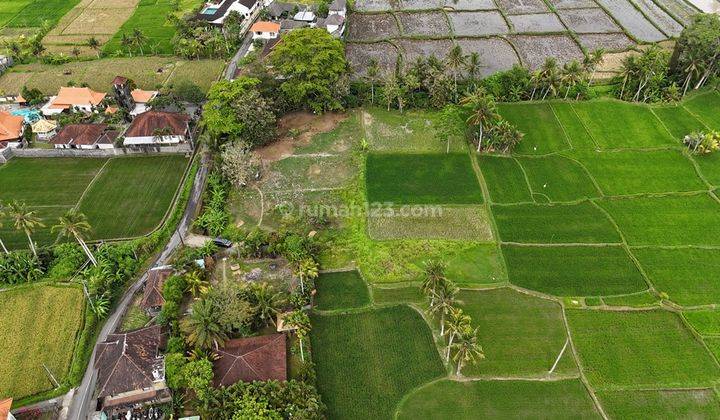 Tanah Ubud Kemenuh View Rice Fields Tubd126  2