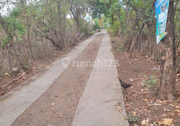 Tanah Sumberkima Dekat Bandara Letkol Wisnu Smtsgr8  1