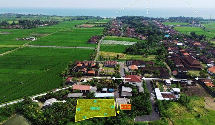 Tanah Kelating Tabanan Dekat Sawah Emttbn13  1