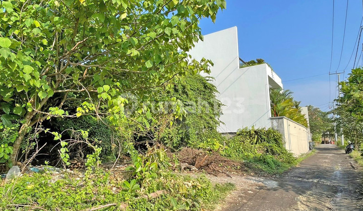 Tanah Langka Canggu Batu Bolong (AMTCGU90