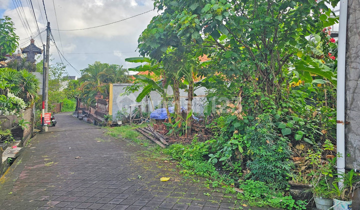 Tanah SHM di Canggu Berawa Semat (Dwtcgu5)