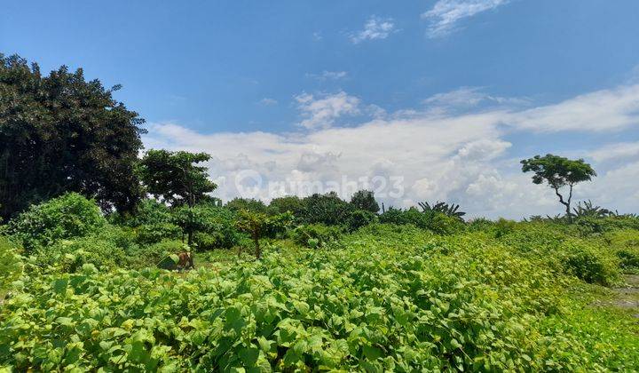 Tanah Depan Pantai Ketewel Dekat Sanur HRTGIA143  2