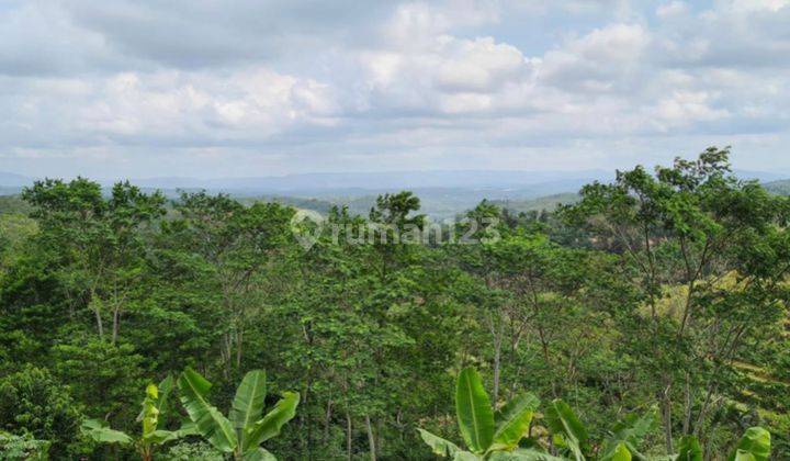 Harga Miring, 104 Ha Lahan Perkebunan di Sukabumi, Bonus Villa Cantik. 1