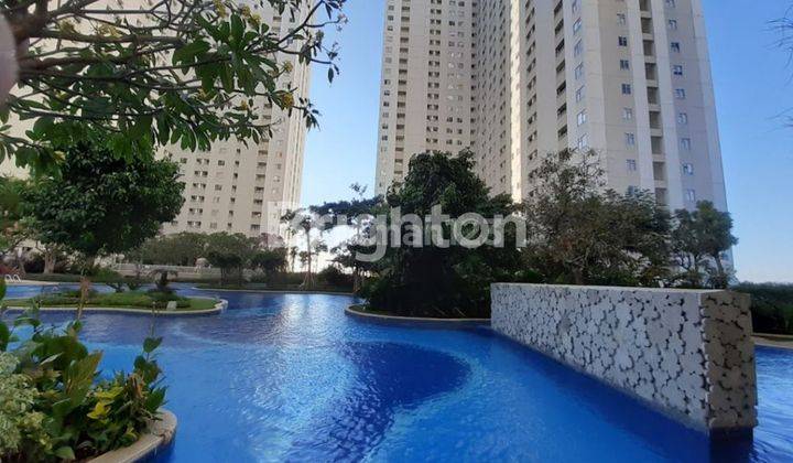 APARTEMEN EDUCITY FULL FURNISHED SIAP HUNI VIEW POOL 2