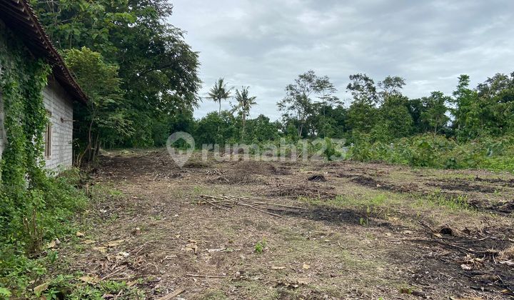 Cocok untuk Investasi Tanah Pekarangan 3 Menit Tol Purwomartani 50 Mter Jl Raya Jogja Solo Kalasan
