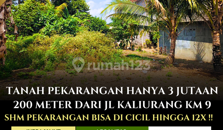 FOR SALE QUICKLY, FREEHOLD LAND WITH YARD IN NORTH JOGJA SLEMAN, 8 MINUTES FROM UGM CAMPUS, INSTALLMENT PAYMENT AVAILABLE. FOR SALE QUICKLY, FREEHOLD LAND WITH YARD IN NORTH JOGJA SLEMAN, 8 MINUTES FROM UGM CAMPUS, INSTALLMENT PAYMENT AVAILABLE.