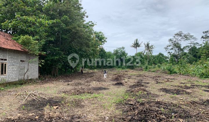 Tanah SHM Pekarangan 50 Meter Dari Jl Raya Jogja Solo Kalasan bisa di Cicil
