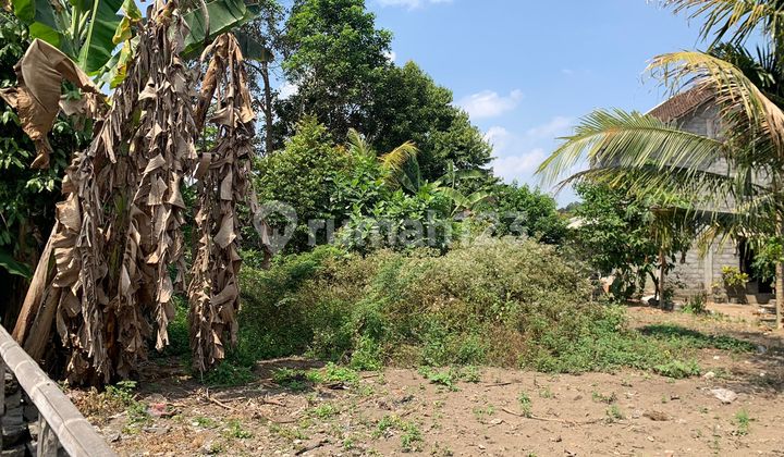 Promo Murah Tanah Pekarangan di Jogja Utara Sleman Hanya 200 Meter Dari Jl Raya Kaliurang KM 9