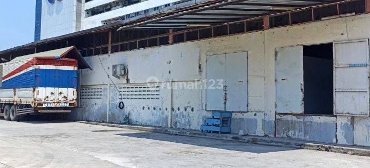 Gudang Jalan Pluit Raya , Penjaringan Jakarta Utara 1