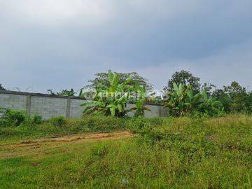 Tanah di Cipanas, Cianjur Luas 1.183 M2 1