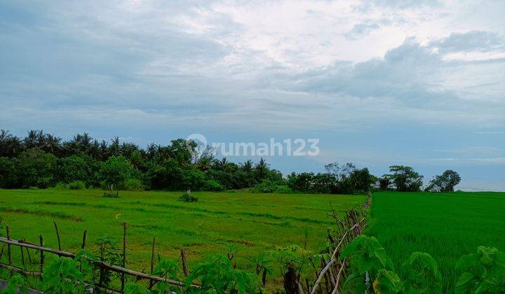 Tanah Los Pantai Pulukan Pekutatan Jembrana ITR akomodasi wisata  9