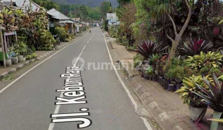 Tanah Di Jalan Utama 230m Dari Kebun Raya Bedugul