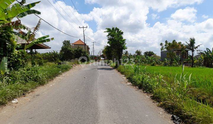 Tanah Kavling Raya Temesi Gianyar  2