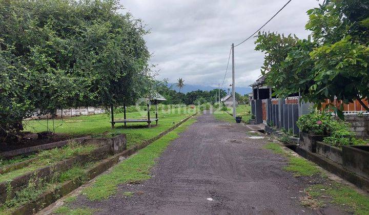 Tanah Kavling Jalan Menara Suar Pelabuhan Celukan Bawang Gerogak Tanah Kavling Jalan Menara Suar Pelabuhan Celukan Bawang Gerogak