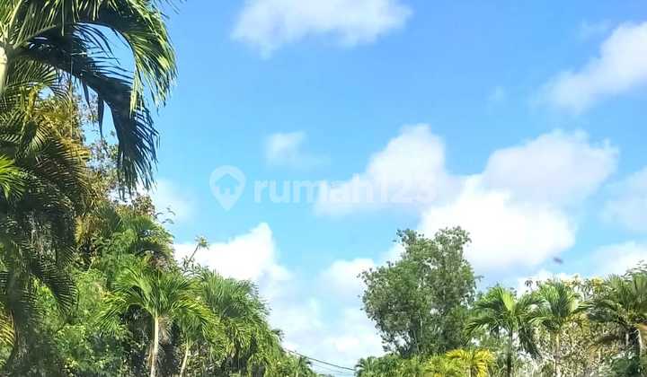 Tanah Kavling Perum De Paras Taman Mumbul