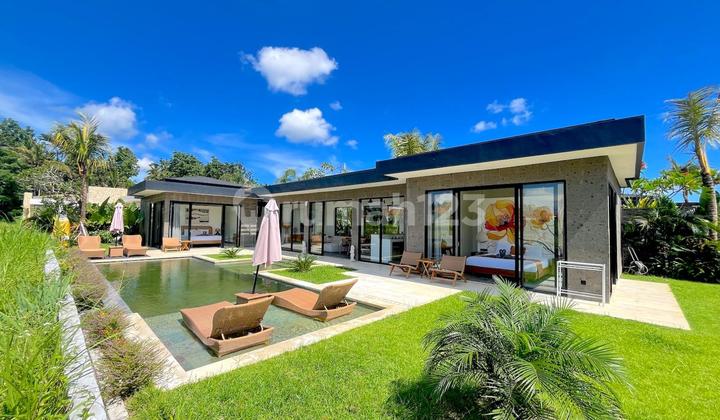 Long Lease New Villa With Rice Field View In Singakertaubud