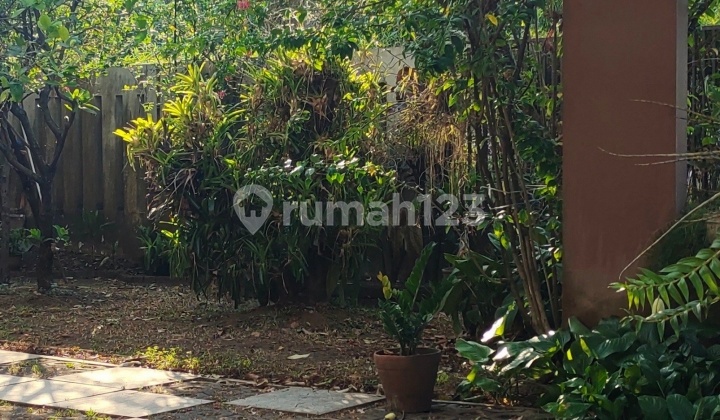 Asri House Near Unibraw Malang 2