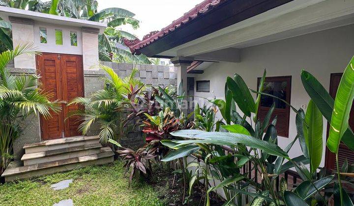 Villa Cantik Strategis Tegal Cupek Kerobokan Bali 2