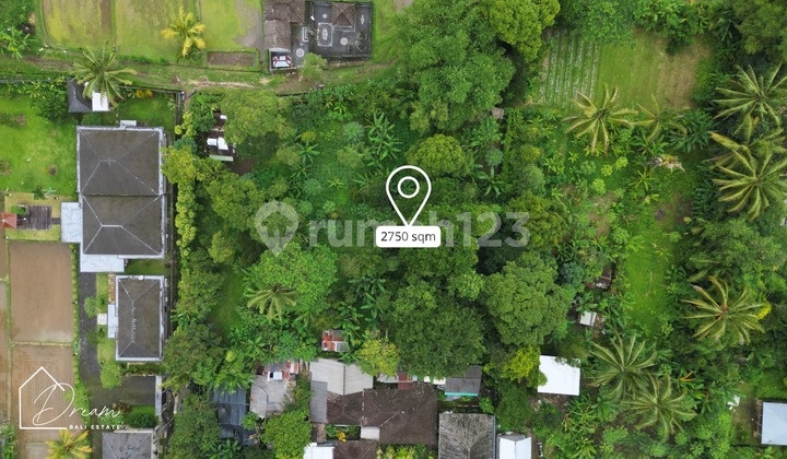 Cool Garden Land Luwus Tabanan Bali Cool Garden Land Luwus Tabanan Bali