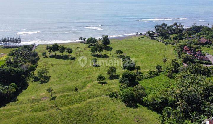 Tanah kavling jalan kaki ke pantai Saba Gianyar  2