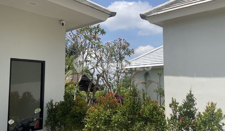 Brand new Villa Modern minimalist Payangan Gianyar Ubud Bali 2