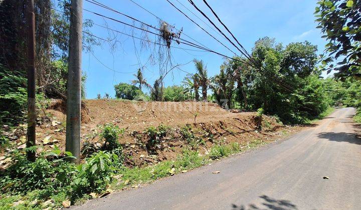 Land for the Saba Beach Gianyar tourism zone  1