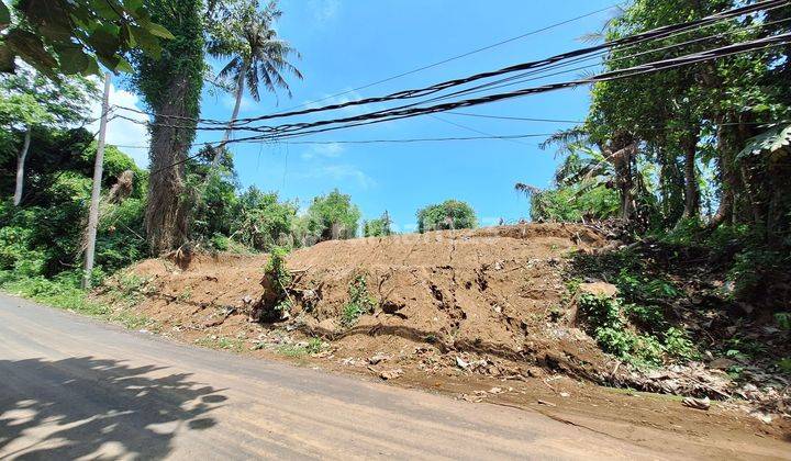 Land for the Saba Beach Gianyar tourism zone  2