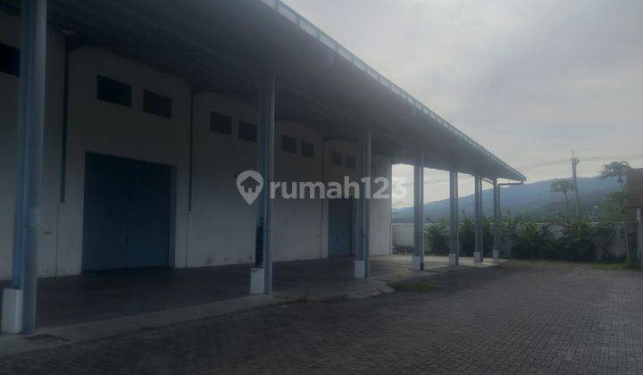 Spacious Warehouse Access to Tronton Raya Seririt Singaraja Temukus Bali 1