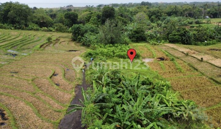Tanah strategis zona pariwisata di Umalalang Cemagi Canggu Bali