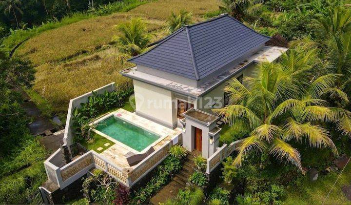 Modern Villa Ayodia Ubud Gianyar Bali 1