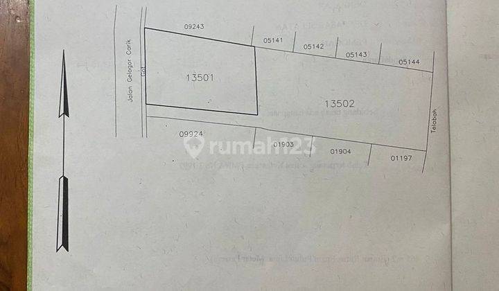 Tanah komersil Bonus Bangunan Rumah Gelogor Carik Pemogan Bali 2