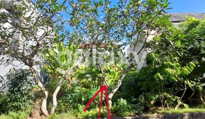 TANAH SIAP BANGUN DI PERUM TAMAN MUMBUL BENOA BADUNG, BALI