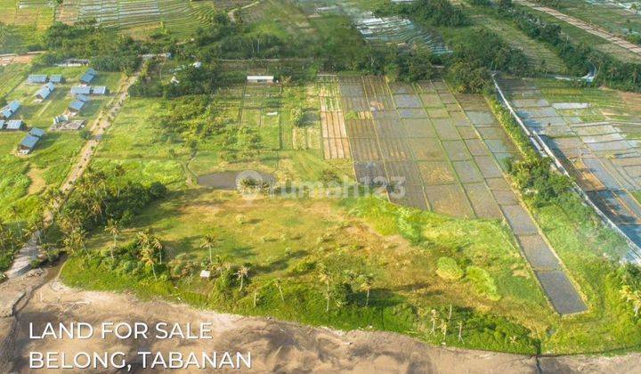 Tanah Kavling Beachfront Pantai Belong Kedungu Tabanan Bali 1