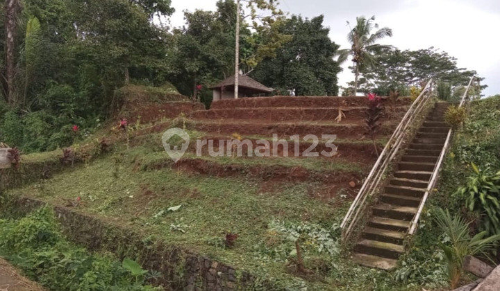 Cool Garden Land Belimbing Pupuan Tabanan Bali Cool Garden Land Belimbing Pupuan Tabanan Bali