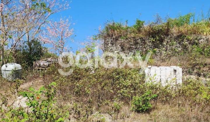 Tanah Siap Bangun Ocean View 1,64 Ha di Blimbing Sari Pecatu Badung, Bali Tanah Siap Bangun Ocean View 1,64 Ha di Blimbing Sari Pecatu Badung, Bali